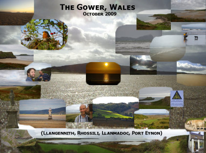 The Gower, Wales (Llangennith)